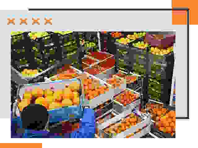 Перевозка скоропортящихся продуктов в Ялте